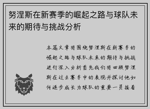 努涅斯在新赛季的崛起之路与球队未来的期待与挑战分析