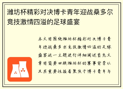 潍坊杯精彩对决博卡青年迎战桑多尔竞技激情四溢的足球盛宴