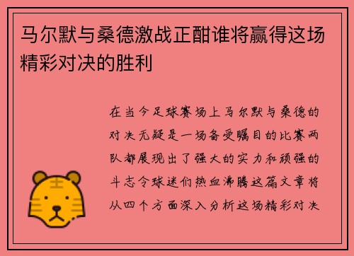 马尔默与桑德激战正酣谁将赢得这场精彩对决的胜利